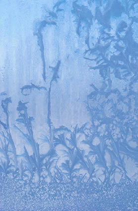Eisblumenfenster